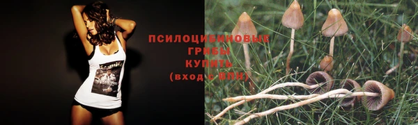бутират Белоозёрский