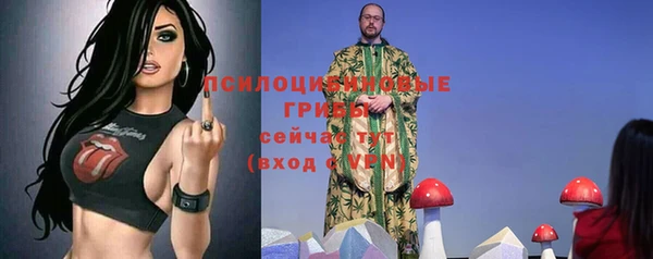 ешки Белокуриха