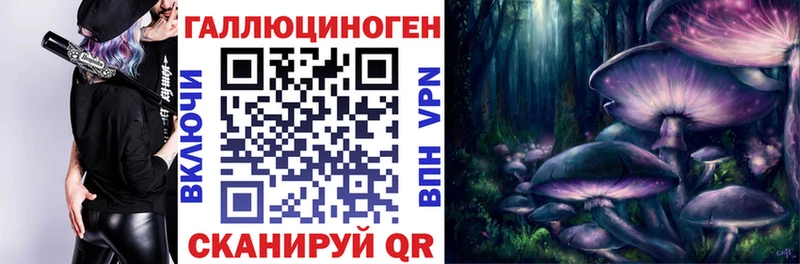 Псилоцибиновые грибы прущие грибы  где купить наркоту  Кузнецк 